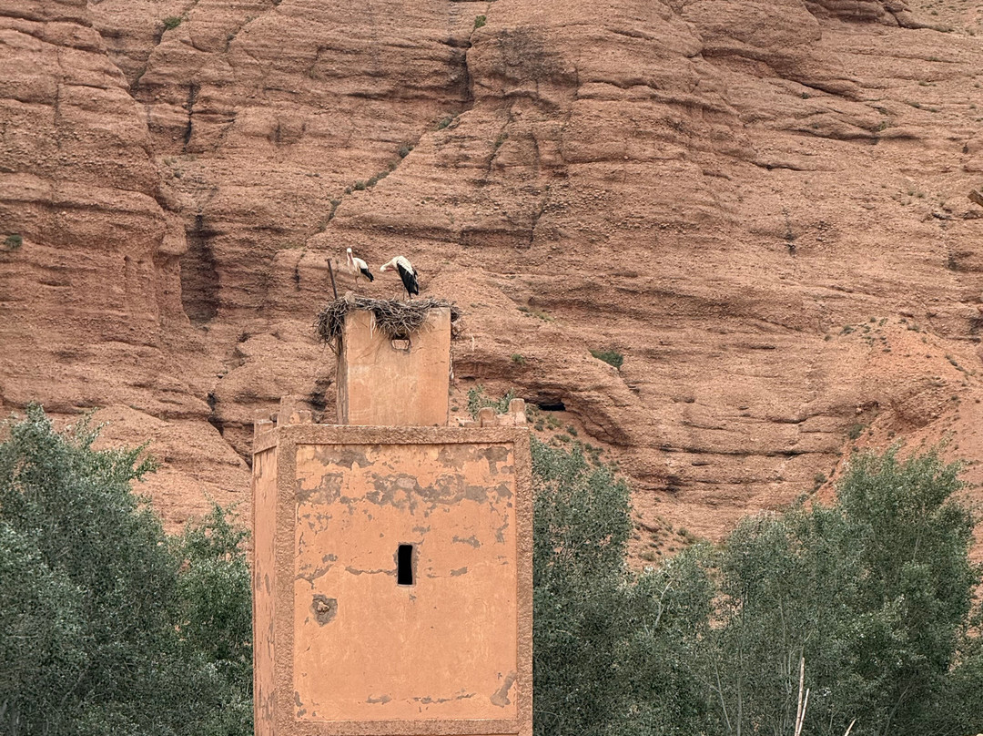 I-Tours Morocco-丹吉尔必去景点