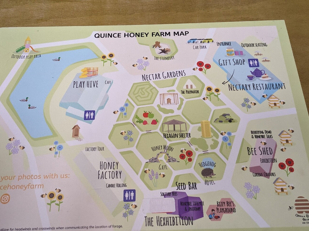 Quince Honey Farm-South Molton必去景点