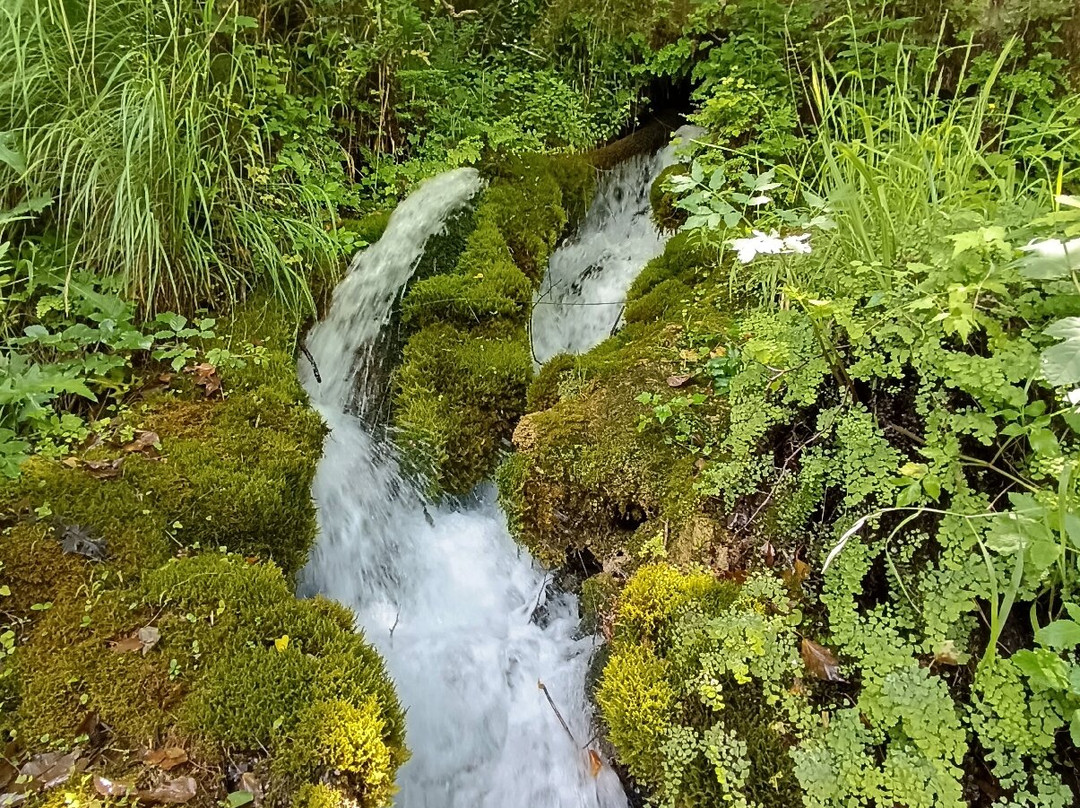 Cascate Capelli di Venere-Casaletto Spartano必去景点