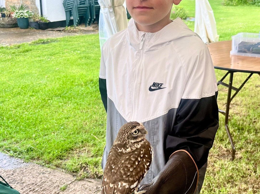 Wren's Birds Of Prey-Wotton-under-Edge必去景点