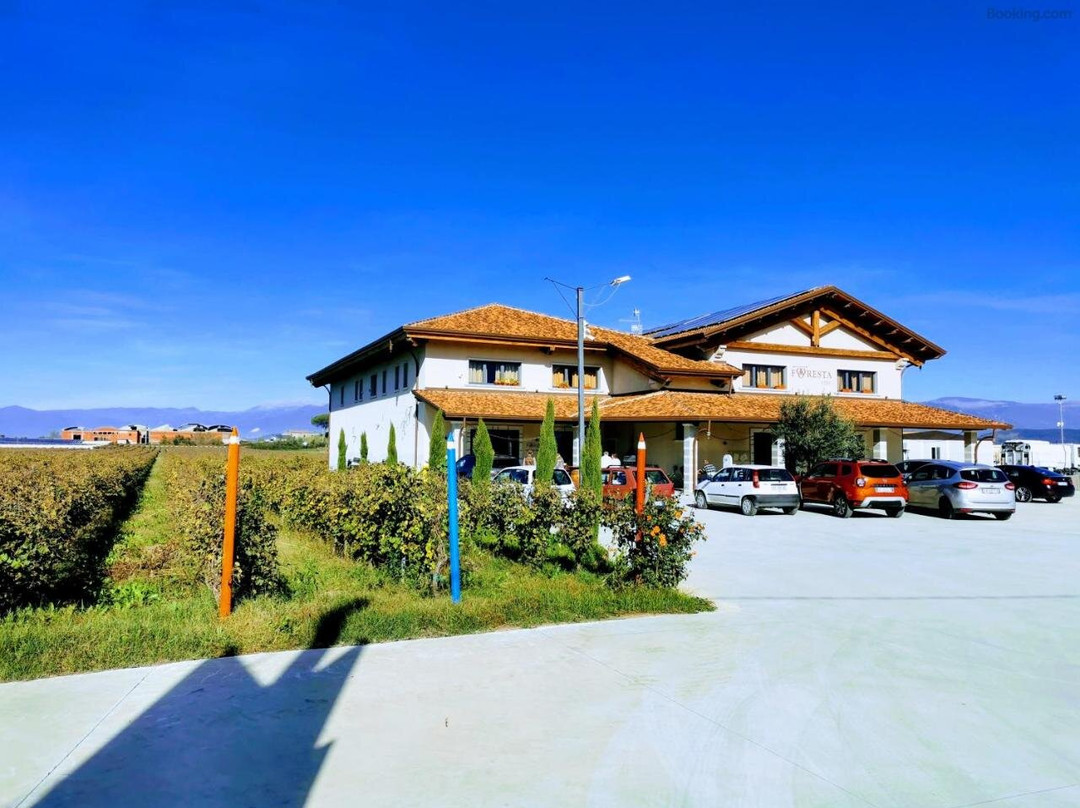 B & B Foresta Vini