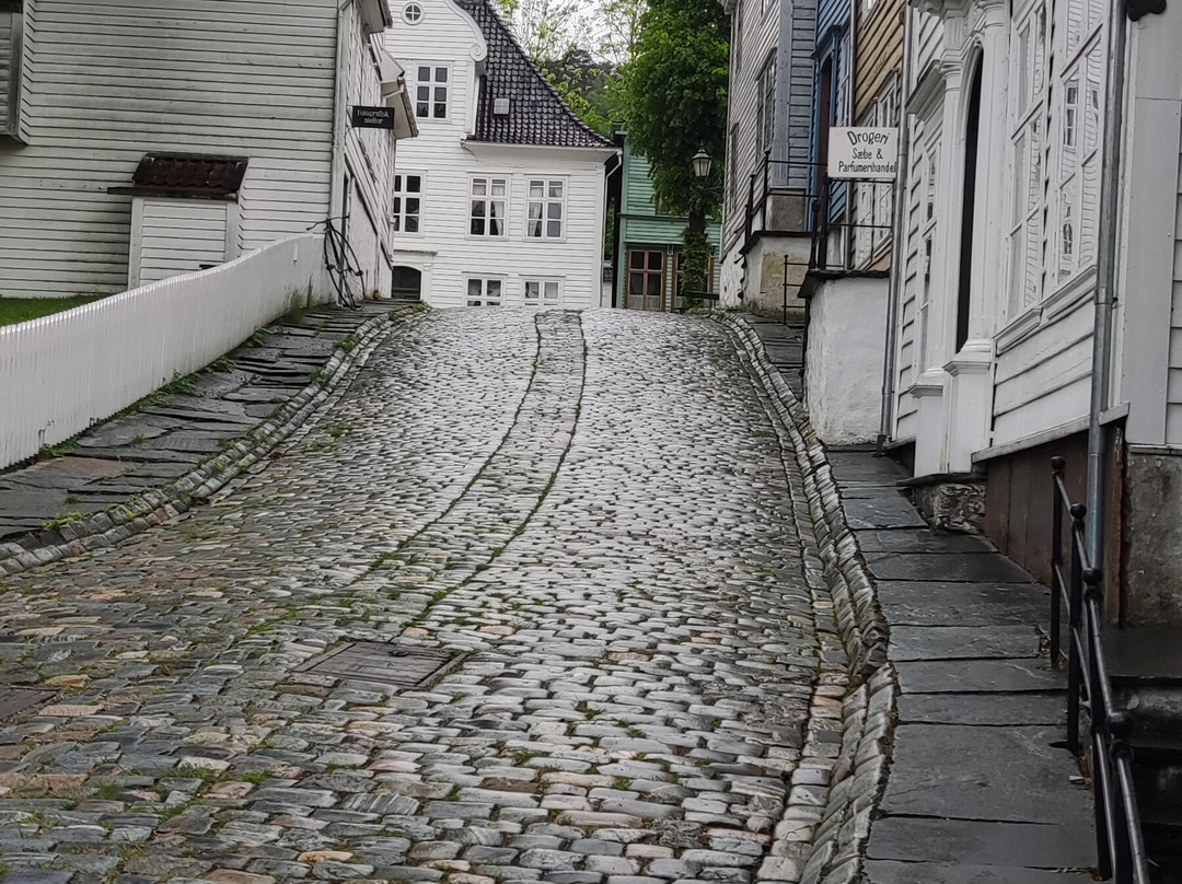 Gamle Bergen Museum - Bymuseet I Bergen-卑尔根必去景点