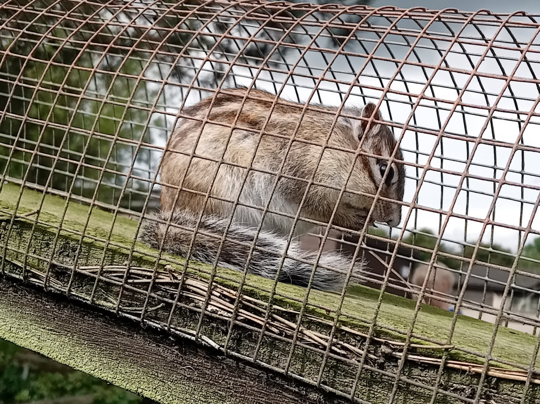 Filey Zoo-Filey必去景点