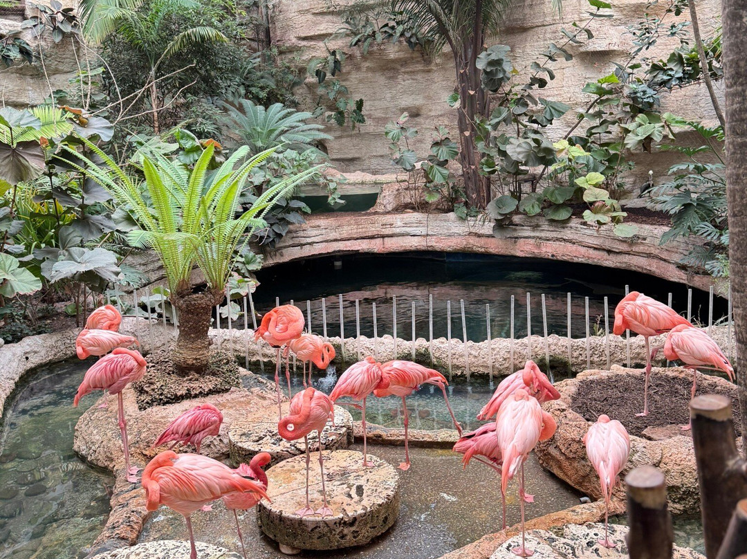 达拉斯世界水族馆-达拉斯必去景点