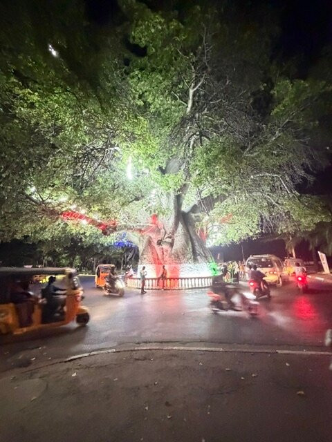 马任加可可酒店及餐厅主图