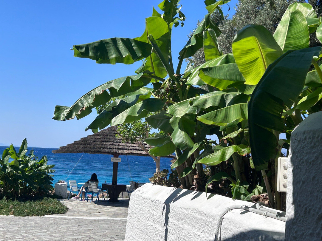 Lemonakia Beach-Kokkari必去景点