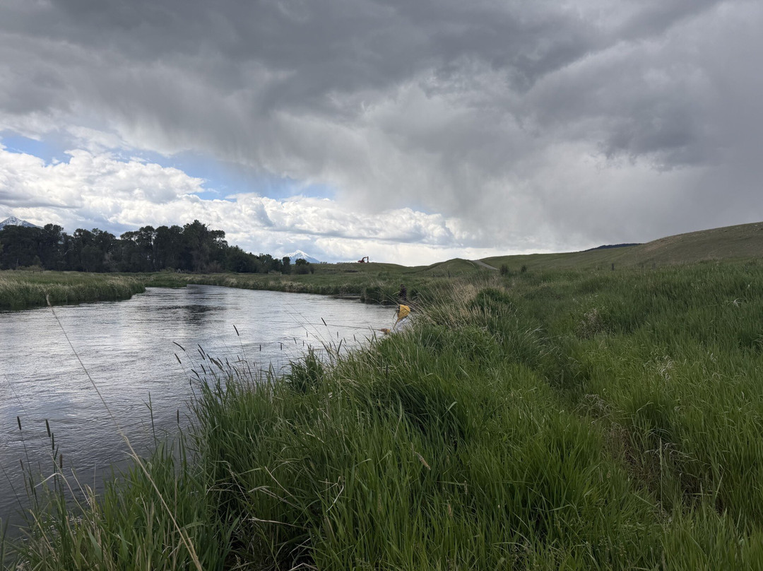 Montana Fly Fishing Guides-利文斯顿必去景点