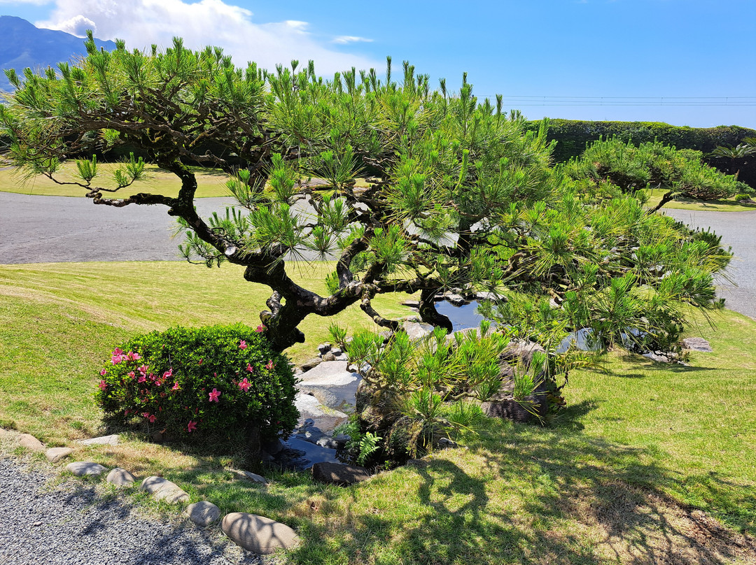 仙岩园-鹿儿岛市必去景点