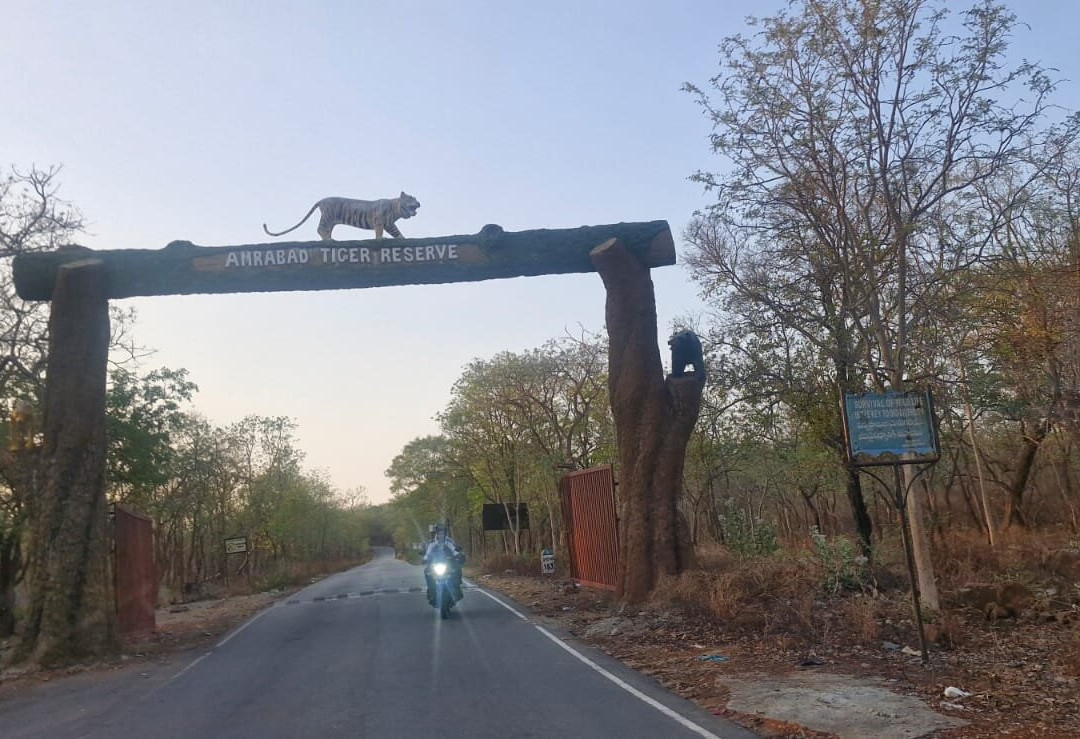 Nagarjunsagar-Srisailam Tiger Reserve-Kurnool必去景点