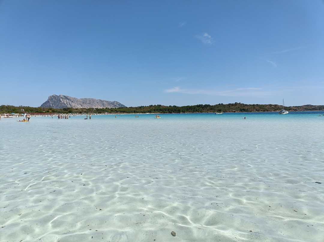 Cala Brandinchi-Capo Coda Cavallo必去景点
