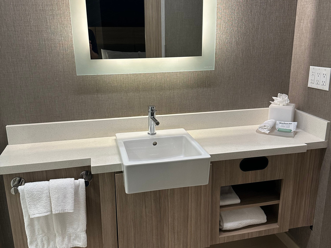 塔什霍韦斯特切斯特县万豪SpringHill Suites酒店主图