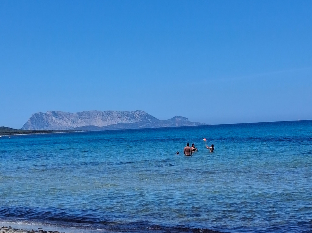Villaggio Baia Dei Pini主图