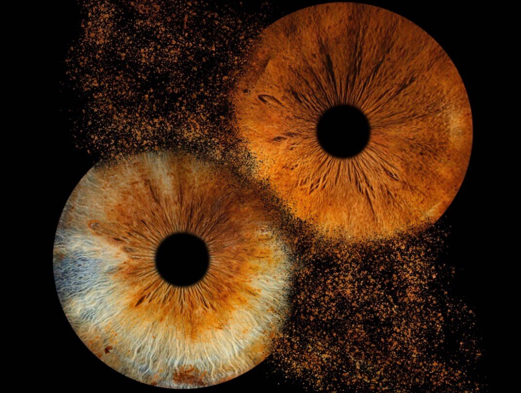 Iris Galerie Arnhem-阿纳姆必去景点