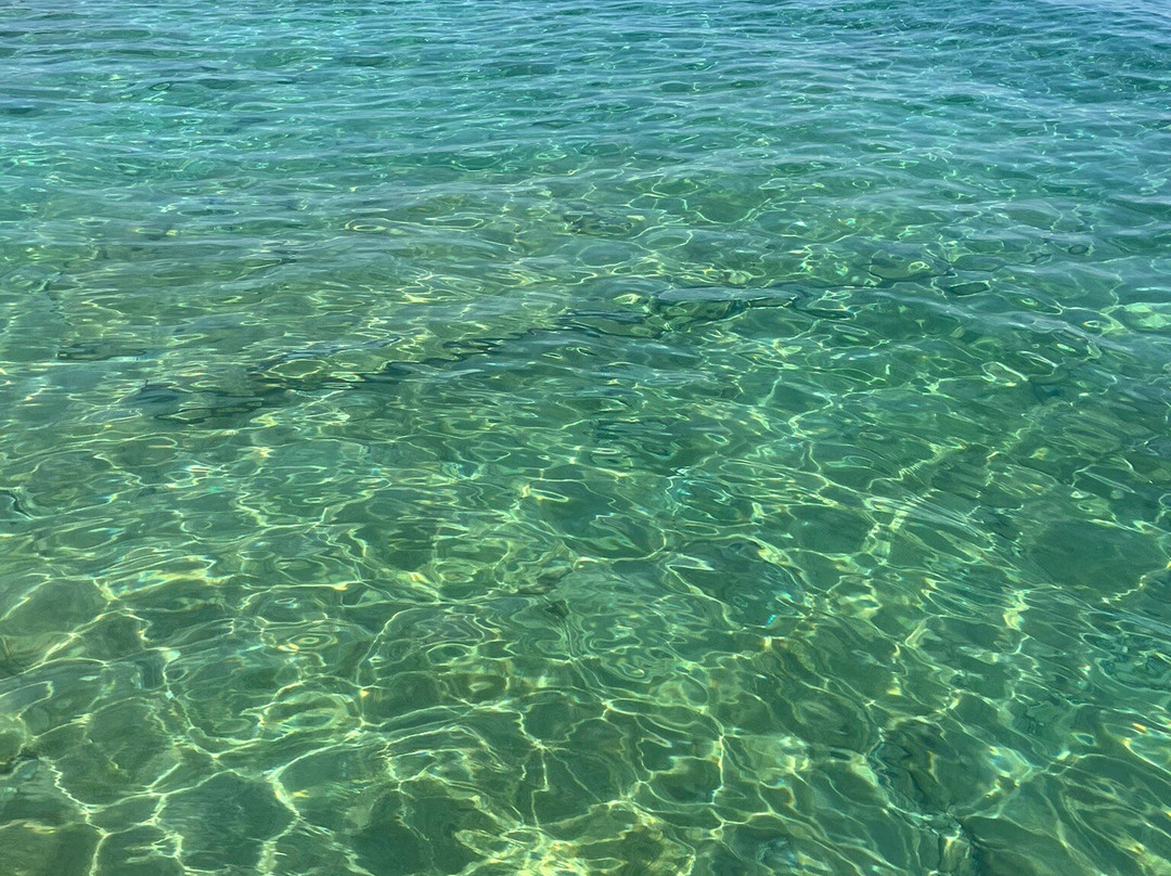 Ionian Captains rental boats-萨米必去景点
