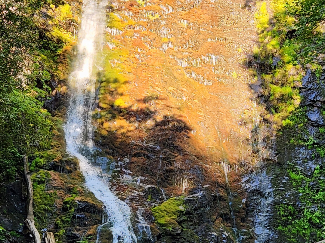Mingo Falls-切罗基必去景点