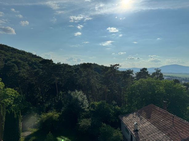 松树精品别墅-旅行者