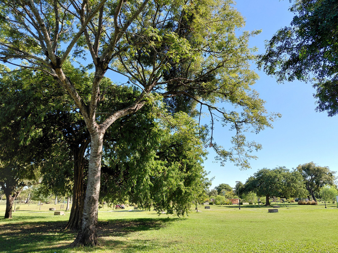 Parque De La Democracia-雷西斯滕西亚必去景点