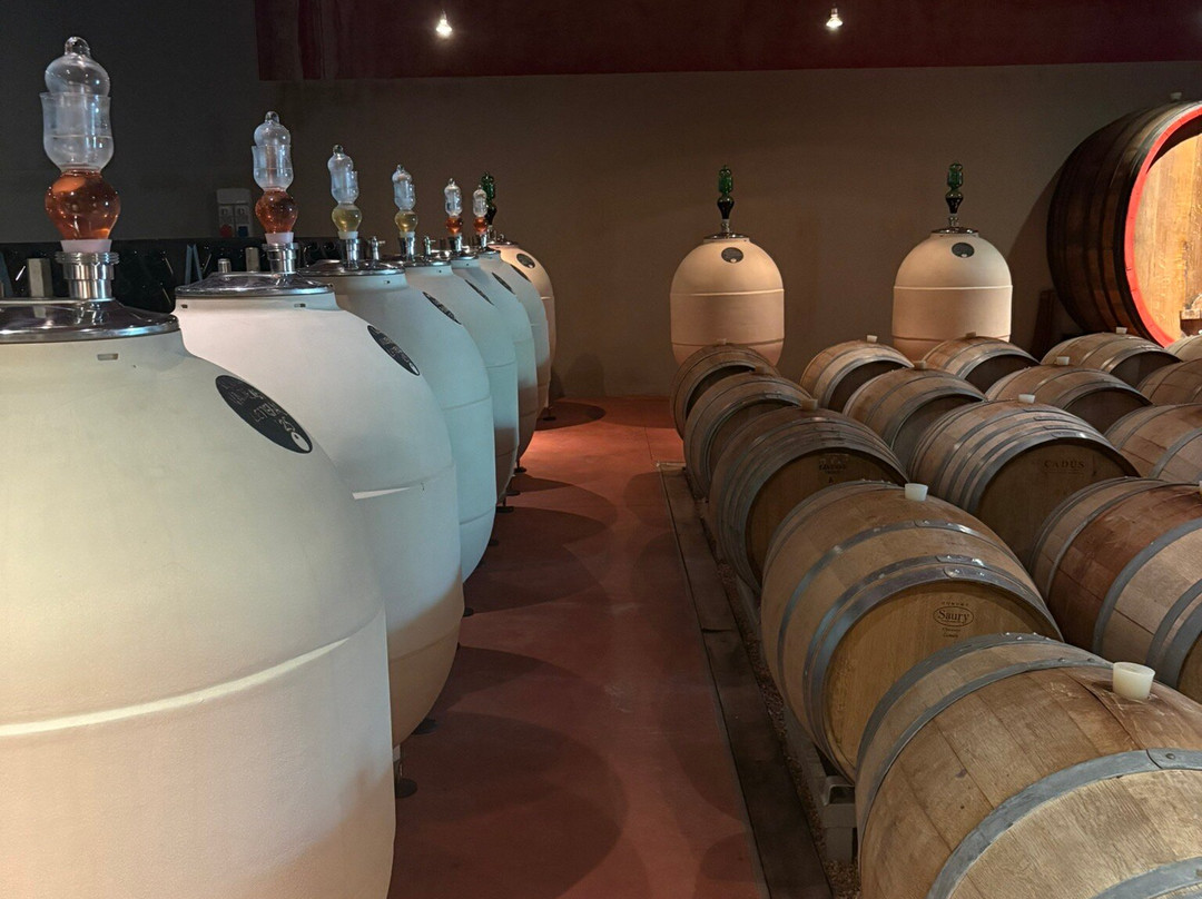 Azienda Agricola Pasini San Giovanni-Puegnago sul Garda必去景点