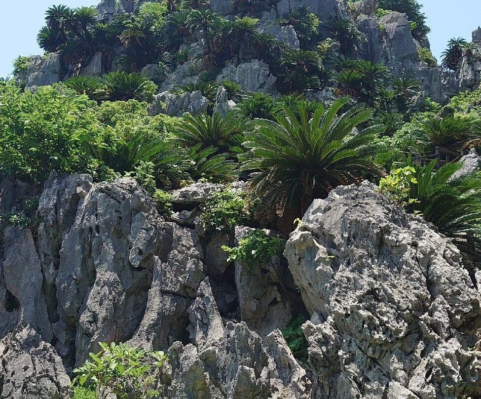 ASMUI Spiritual Hikes-国头村必去景点