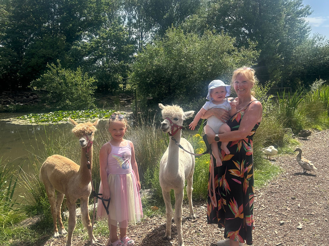 Nanny Sharon's Alpaca Farm C.I.C-Prenton必去景点