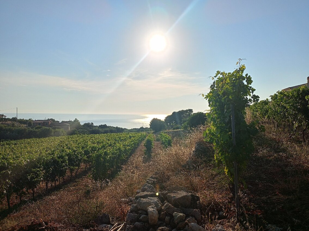 Emidio Oggianu Malvasia di Bosa-博萨必去景点