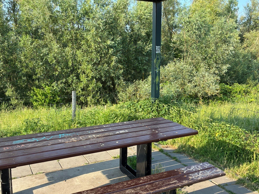 Visitorscenter Biesbosch Dordrecht-多德雷赫特必去景点