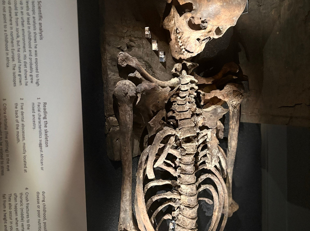 Jorvik Viking Centre-约克必去景点