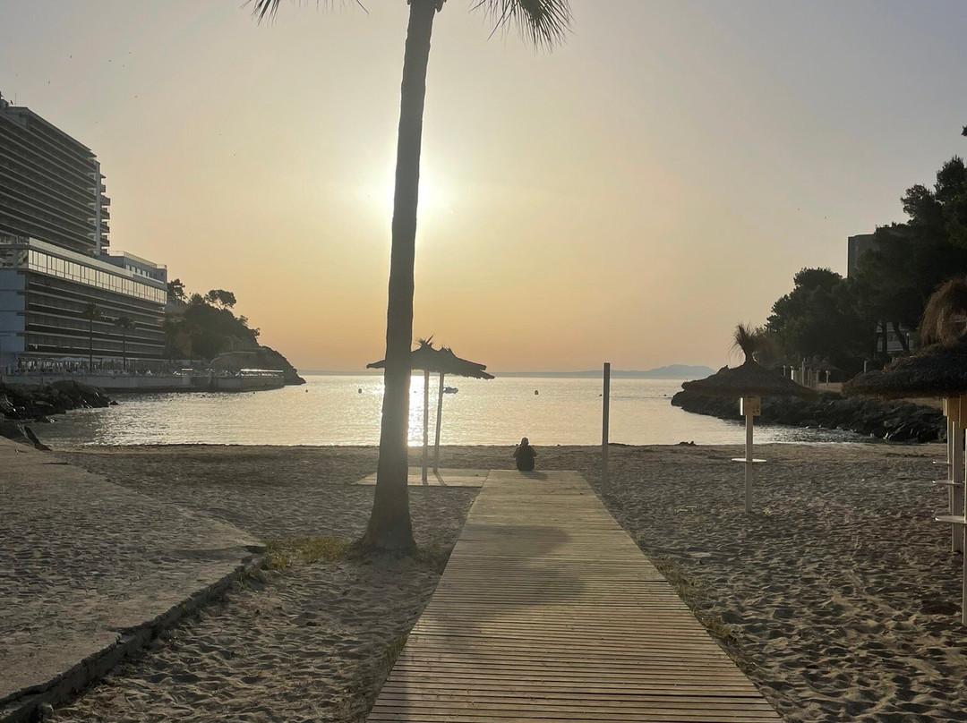 Globales Cala Viñas Adults Only 16+主图