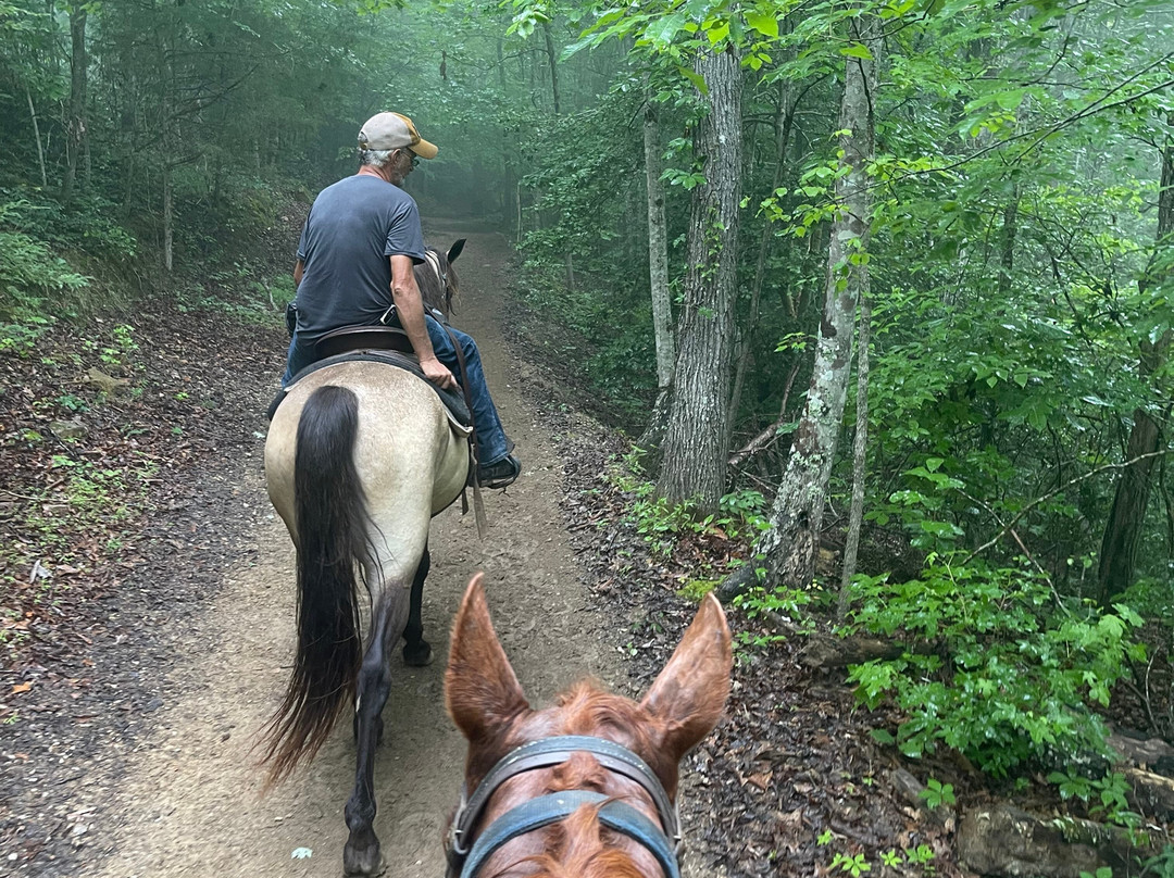 Cumberland Falls Horse Riding Stables-Corbin必去景点