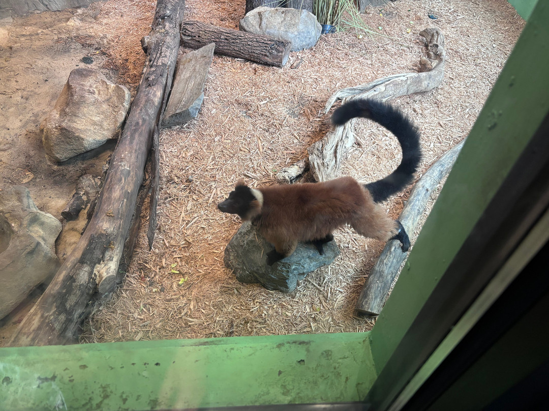Lehigh Valley Zoo-Schnecksville必去景点