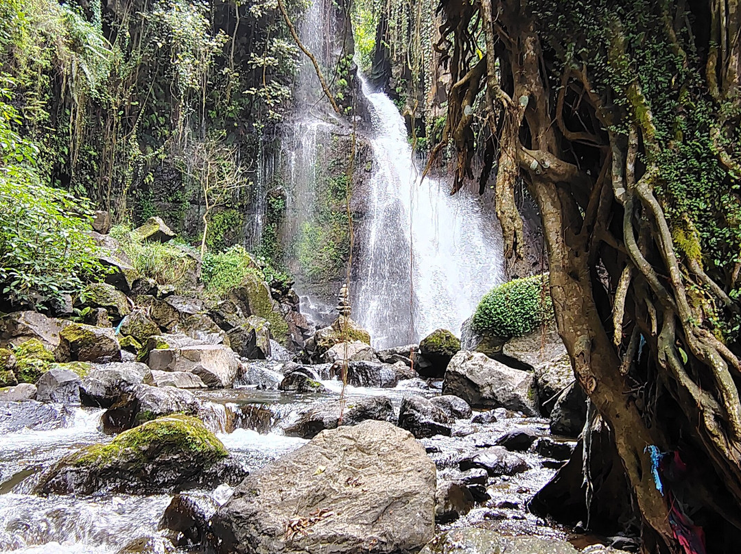 Mangalia Waterfalls-阿鲁沙必去景点