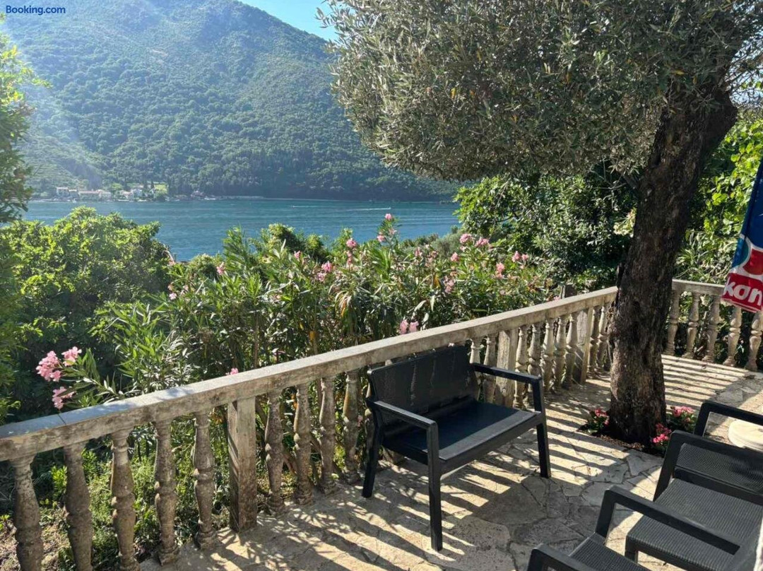 Apartman Irena