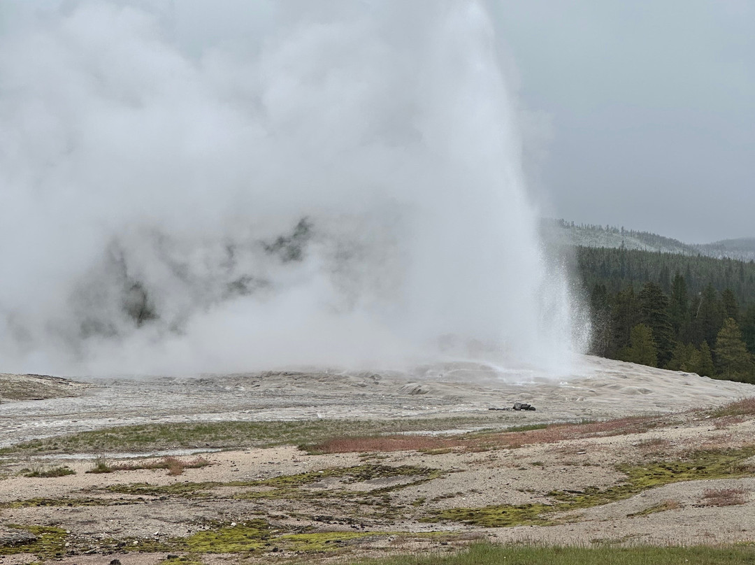 Jackson Hole Eco Tour Adventures-杰克逊必去景点
