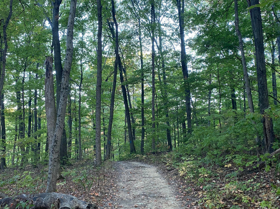 A.W. Marion State Park-Circleville必去景点