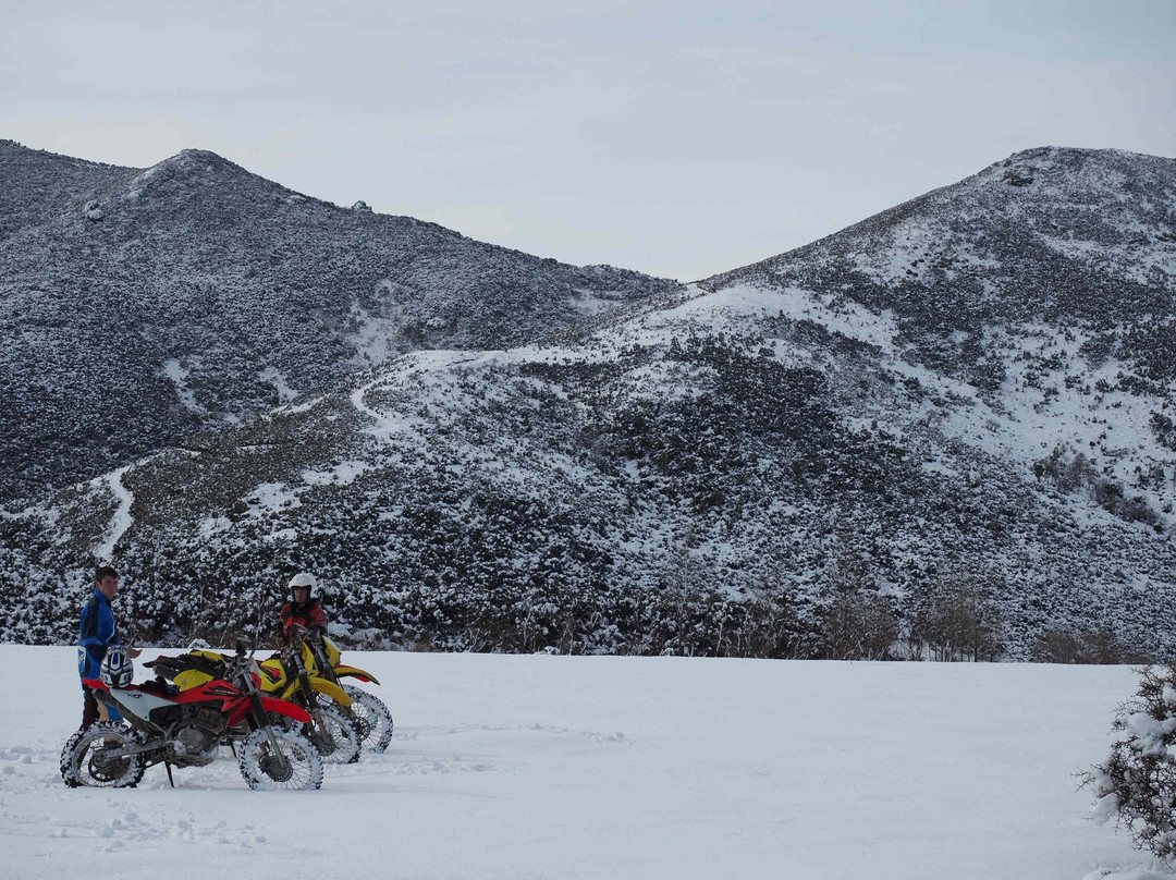 Adventure Trail Rides-基督城必去景点