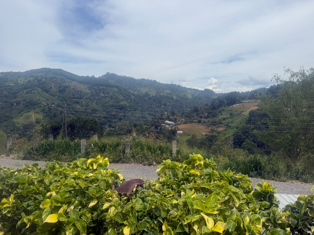 Good Holiday Tours-Kandy District必去景点