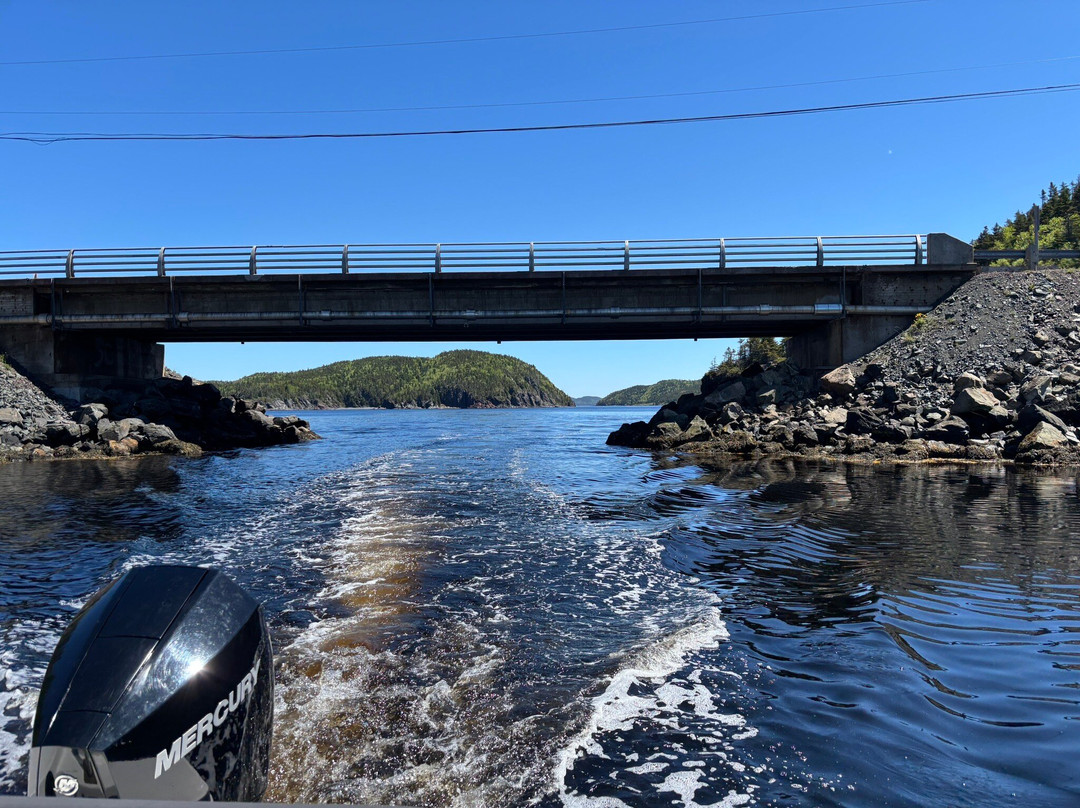 Badger Bay Boat Tours-Triton必去景点