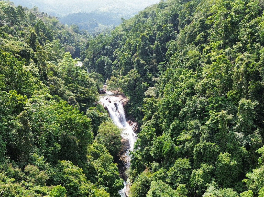 棕榈石休闲旅馆主图