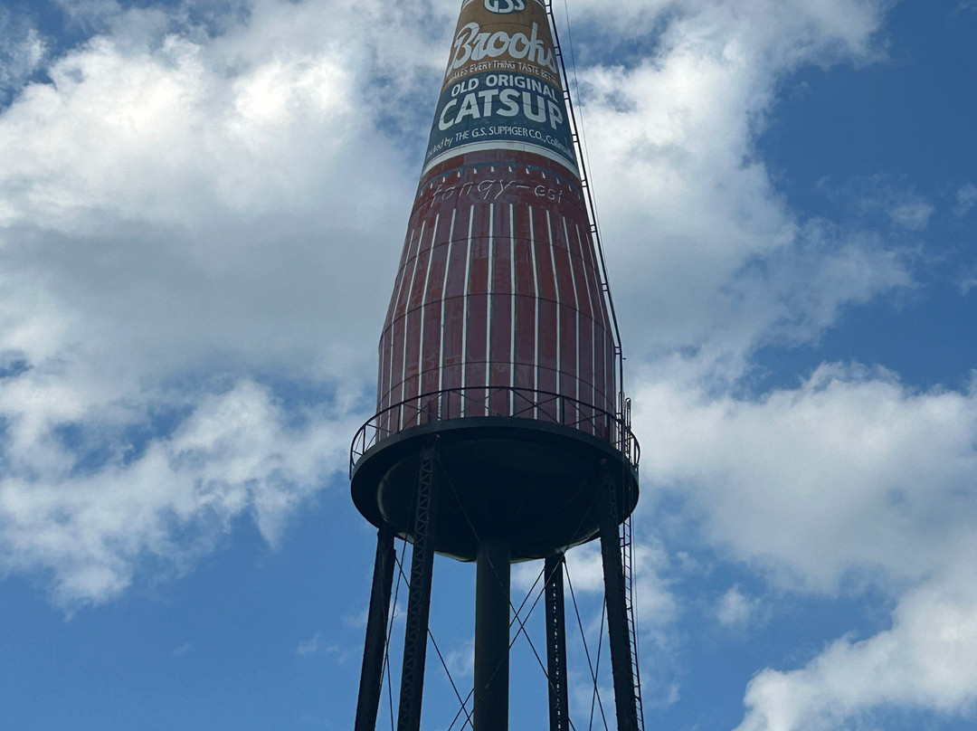 World's Largest Catsup Bottle-科林斯维尔必去景点