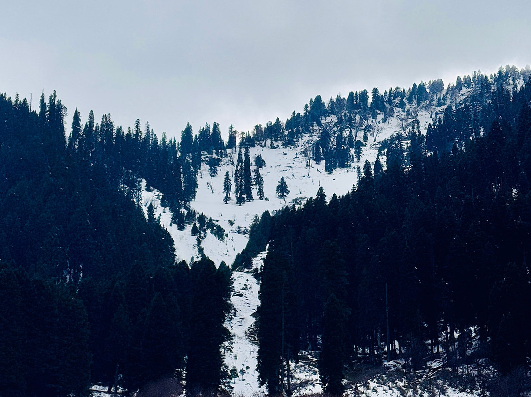 Doodhpathri-Budgam District必去景点