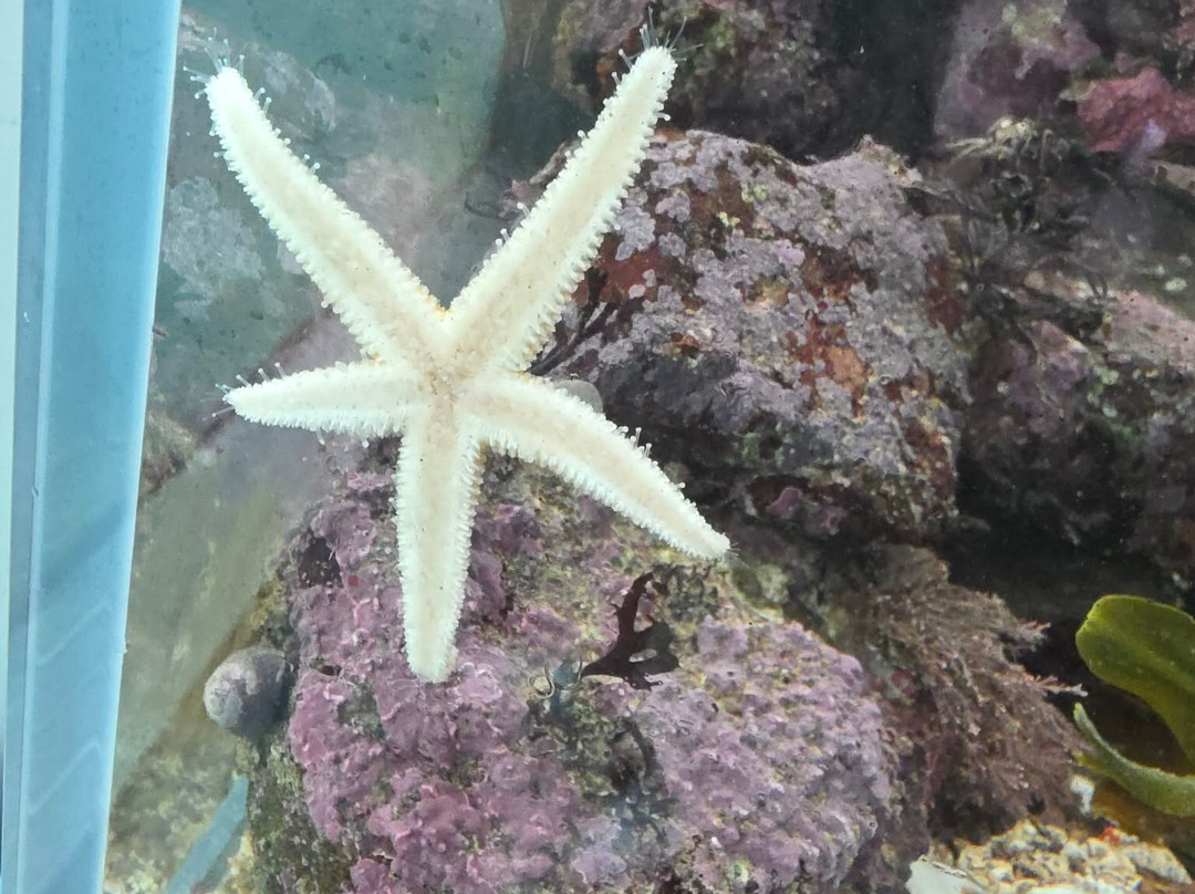 St Abbs Aquarium-Eyemouth必去景点