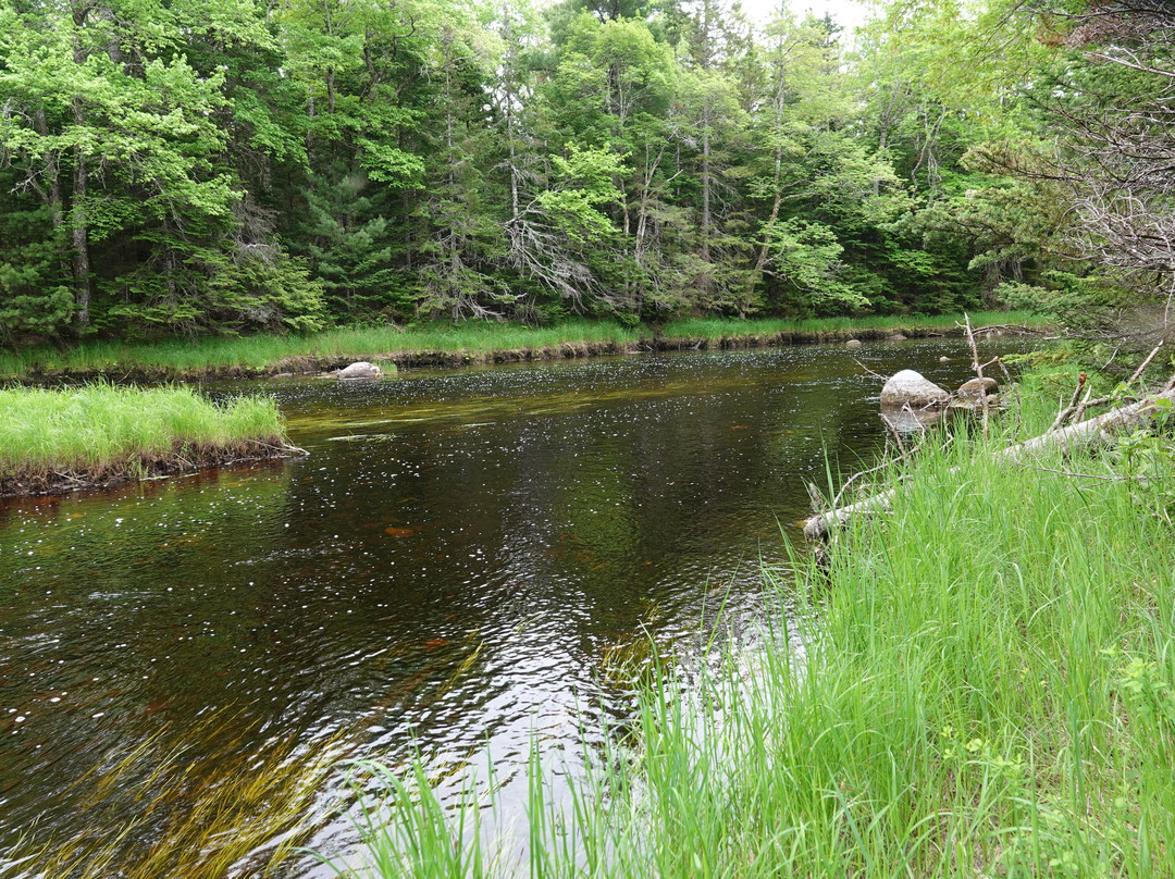 Kejimkujik National Park & National Historic Site-Kejimkujik National Park必去景点