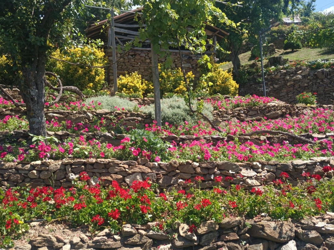 Ethno Village Dolene-Petrich必去景点