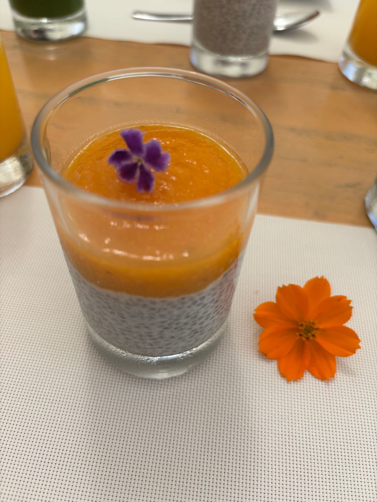 哥斯达黎加度假屋酒店 - 养生度假村及水疗中心-旅行者