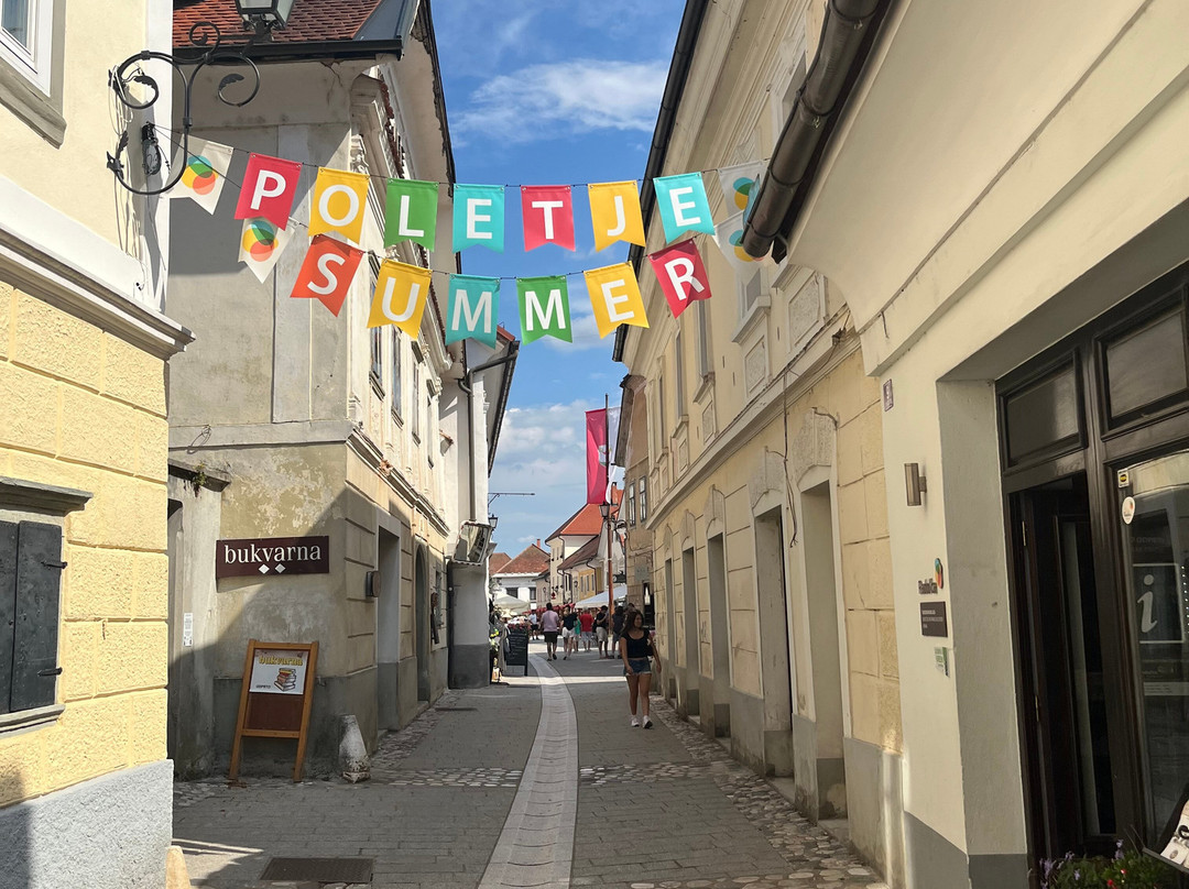 Radovljica Old Town-Radovljica必去景点