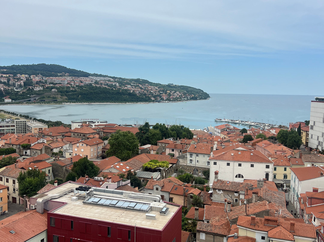 Koper Cathedral and Bell Tower-科佩尔必去景点