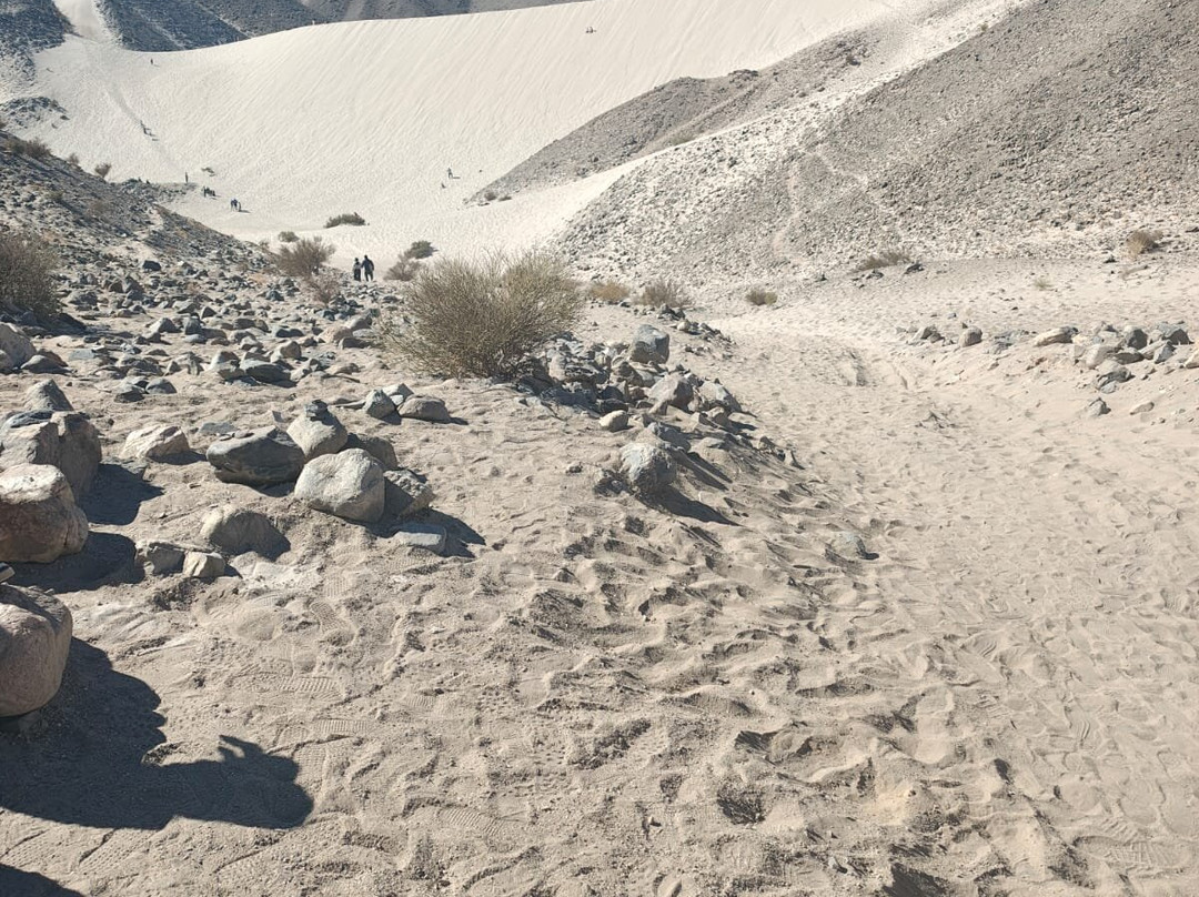 Dunes of Saujil-Saujil必去景点