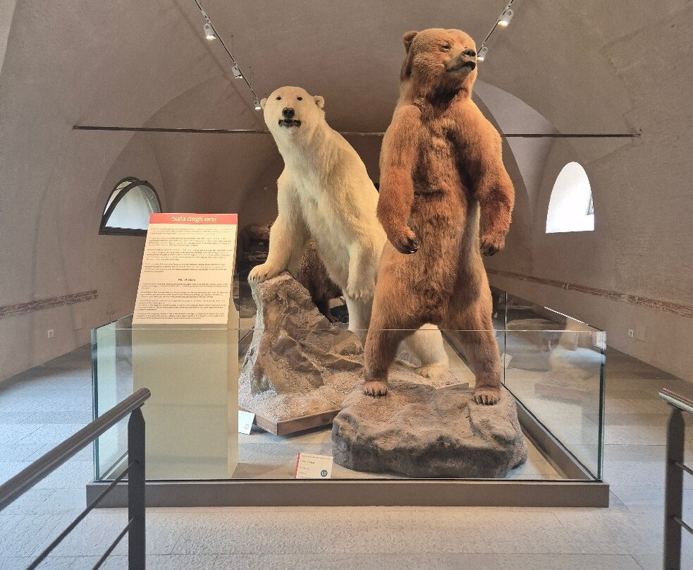 Museo di Storia Naturale - Universita di Pisa-Calci必去景点