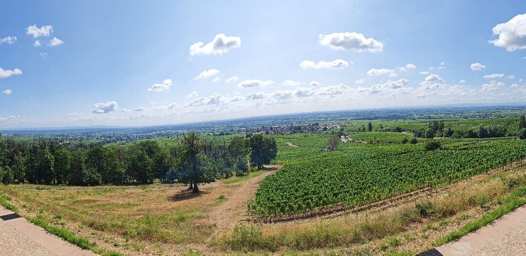 Villa Ludwigshoehe-Edenkoben必去景点