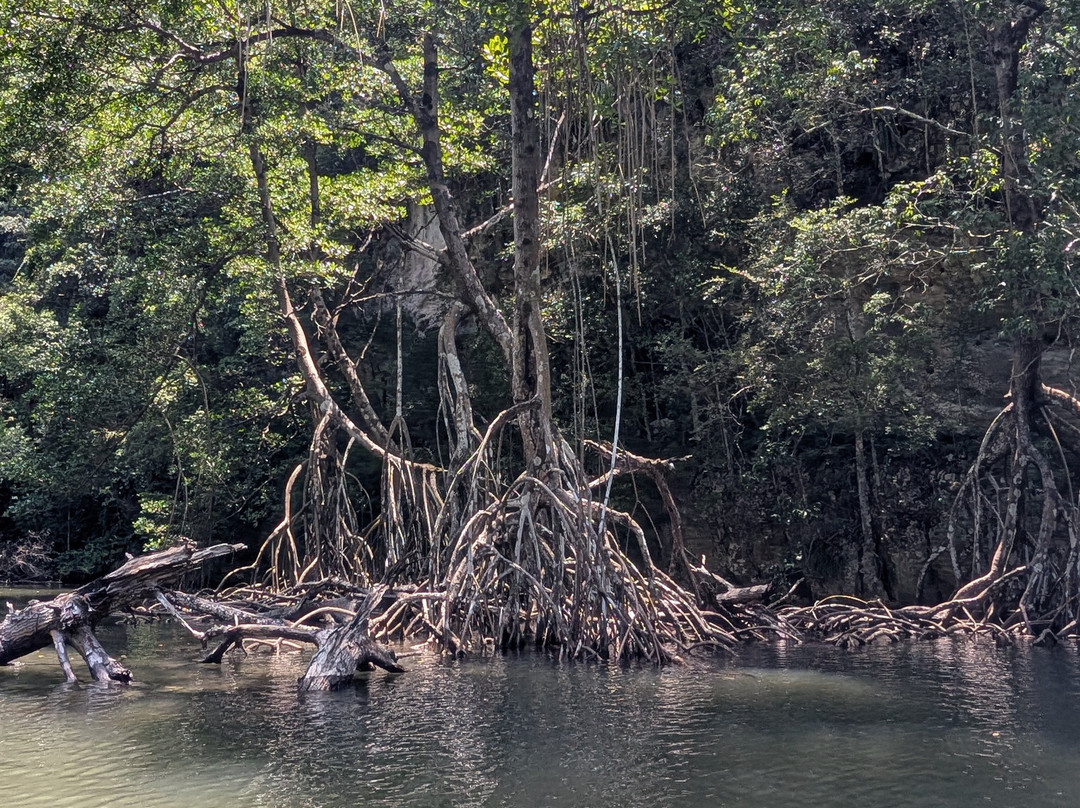 Booking Adventures-Sabana de la Mar必去景点